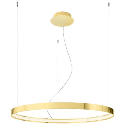 Thoro TH.246 - LED Hanglamp aan een koord RIO LED/50W/230V CRI 90 3000K diameter 78 cm goud
