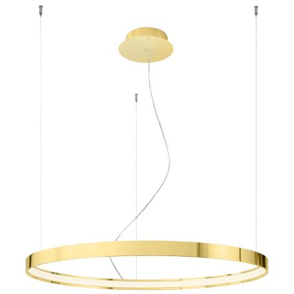 Thoro TH.246 - LED Hanglamp aan een koord RIO LED/50W/230V CRI90 3000K diameter 78 cm goud