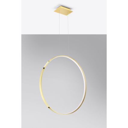 Thoro TH.248 - LED Hanglamp aan een koord RIO LED/50W/230V CRI 90 3000K diameter 78 cm goud