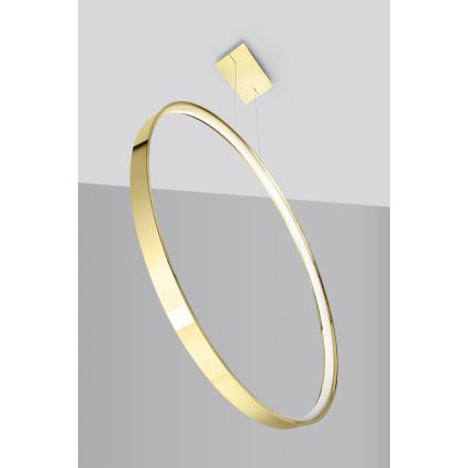 Thoro TH.248 - LED Hanglamp aan een koord RIO LED/50W/230V CRI 90 3000K diameter 78 cm goud
