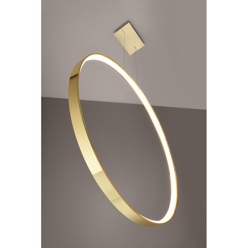 Thoro TH.248 - LED Hanglamp aan een koord RIO LED/50W/230V CRI 90 3000K diameter 78 cm goud