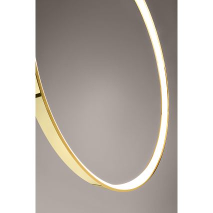 Thoro TH.248 - Suspension filaire RIO LED/50W/230V CRI 90 3000K d. 78 cm doré