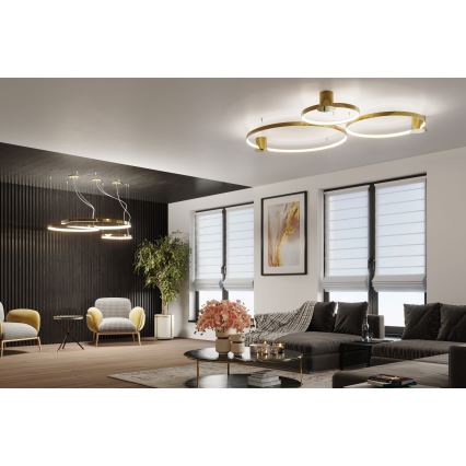 Thoro TH.252 - LED Plafondlamp RIO LED/50W/230V CRI 90 3000K diameter 78 cm goud