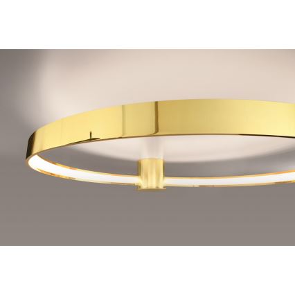 Thoro TH.252 - LED Plafondlamp RIO LED/50W/230V CRI 90 3000K diameter 78 cm goud