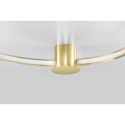 Thoro TH.252 - LED Plafondlamp RIO LED/50W/230V CRI 90 3000K diameter 78 cm goud