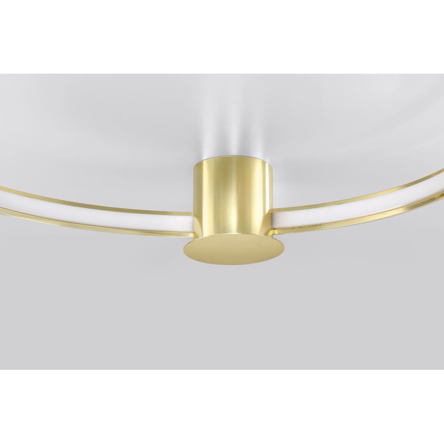 Thoro TH.252 - LED Plafondlamp RIO LED/50W/230V CRI 90 3000K diameter 78 cm goud
