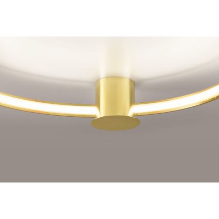 Thoro TH.252 - LED Plafondlamp RIO LED/50W/230V CRI 90 3000K diameter 78 cm goud