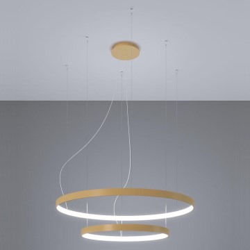 Thoro TH.268 - Suspension filaire RIO LED/80W/230V CRI 95 4000K doré