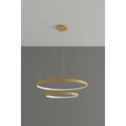 Thoro TH.268 - Suspension filaire RIO LED/80W/230V CRI 95 4000K doré