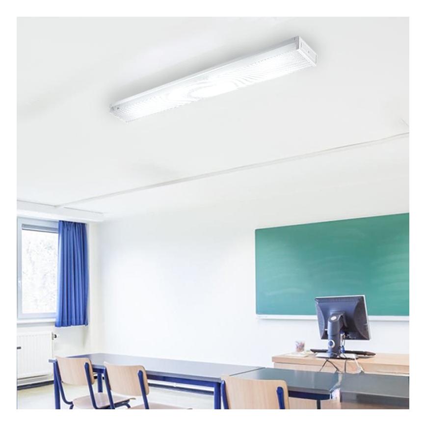 TL-buis T8 2xG13/18W/230V 124 cm