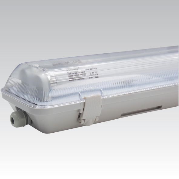 TL-buis lamp voor buiten TOPLINE 2xG13/58W/230V 1575 mm IP65