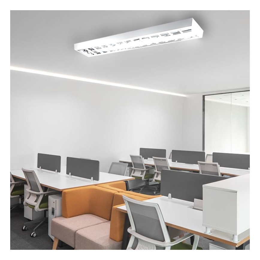 TL-buis T8 2xG13/18W/230V 120 cm wit