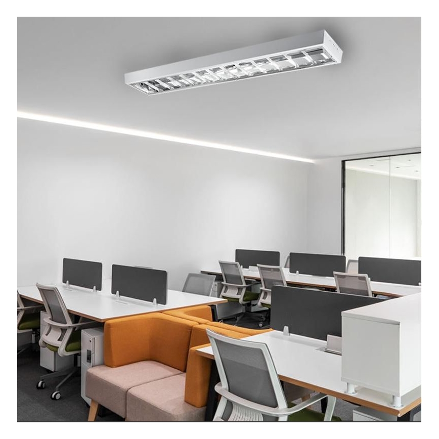 TL-buis T8 2xG13/18W/230V 120 cm wit