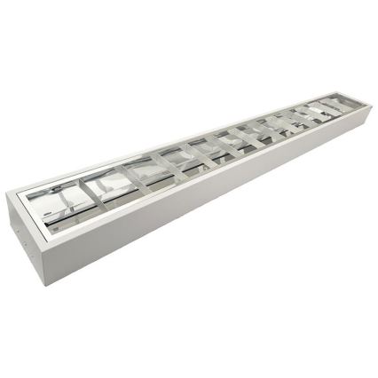 TL-buis T8 2xG13/18W/230V 120 cm wit