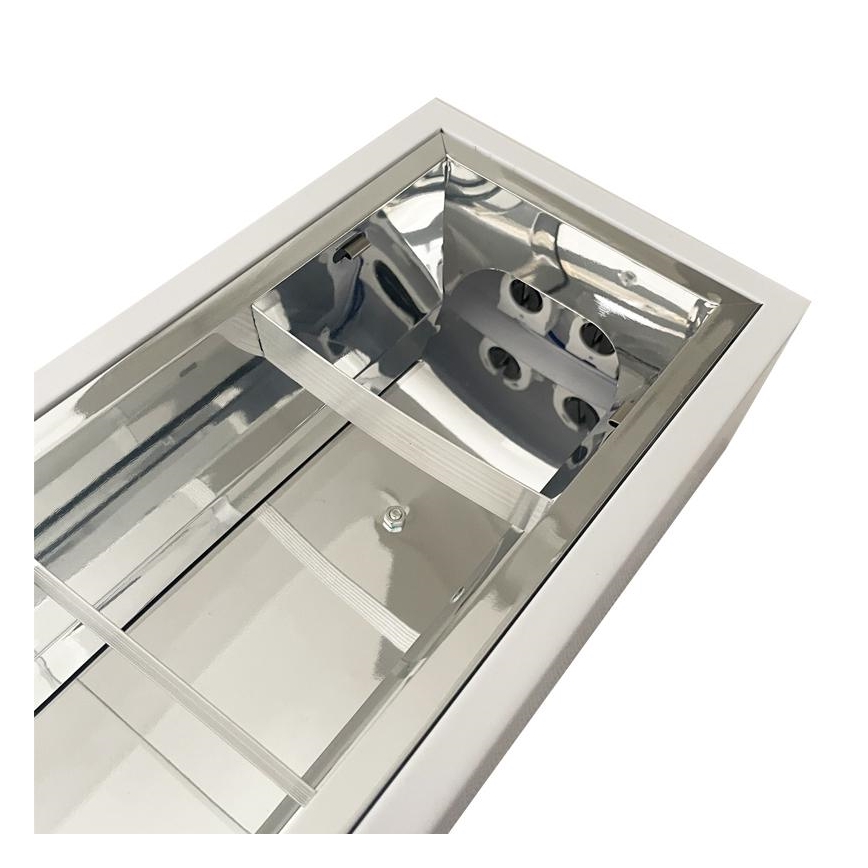 TL-buis T8 2xG13/18W/230V 120 cm wit