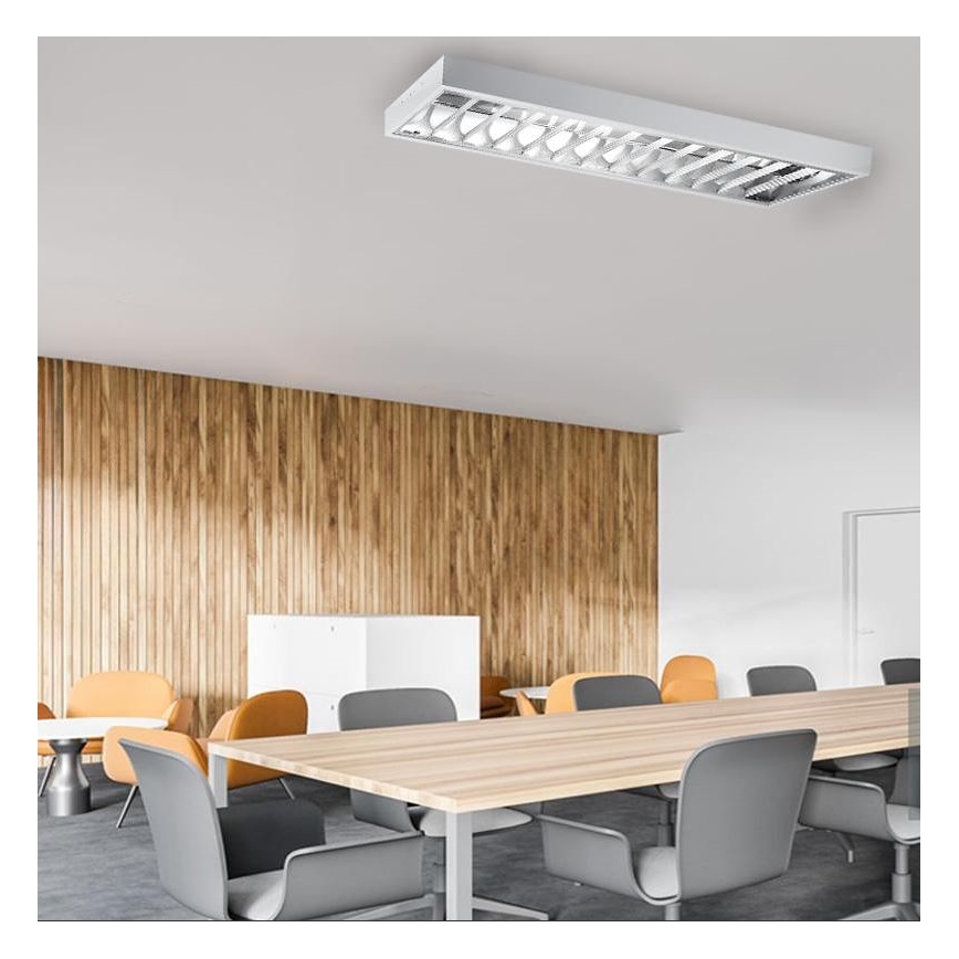 TL-buis T8 2xG13/18W/230V 120 cm wit