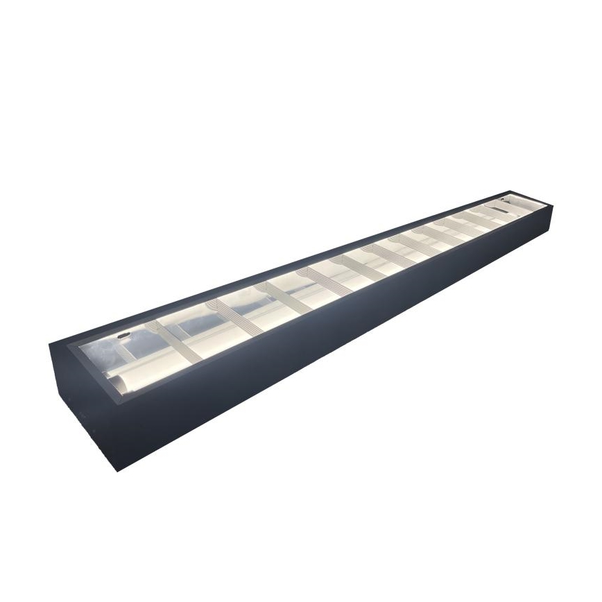 TL-buis T8 2xG13/18W/230V 120 cm zwart