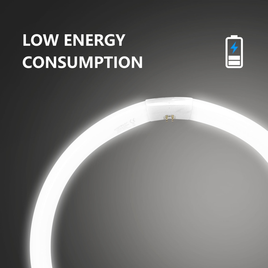 TL-buis T9 G10q/40W/230V 6500K - Aigostar