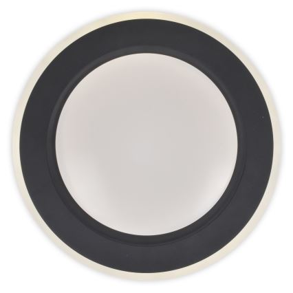 Top Light - Dimbare LED plafondlamp NORMAN LED/60W/230V diameter 49 cm zwart + afstandsbediening