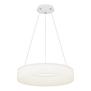 Top Light - LED Dimbare hanglamp HALO LED/60W/230V 3000-6500K Ø 60 cm + afstandsbediening