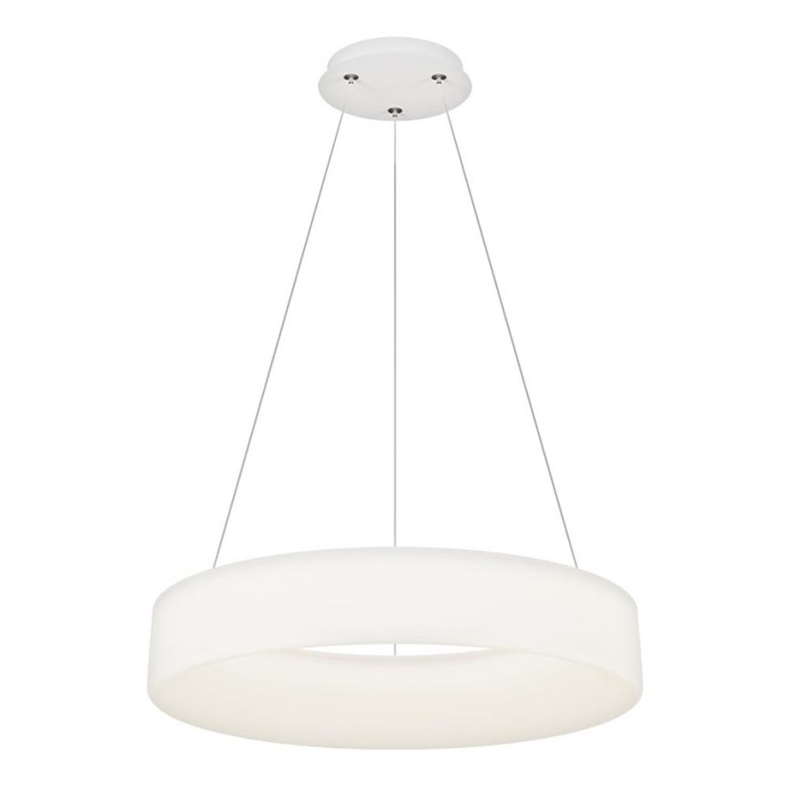 Top Light - LED Dimbare hanglamp HALO LED/60W/230V 3000-6500K Ø 60 cm + afstandsbediening