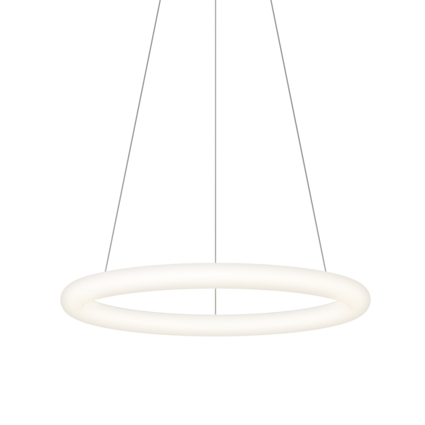 Top Light - RINGO dimbare pendellamp aan kabel LED/40W/230V 3000-6500K wit + afstandsbediening