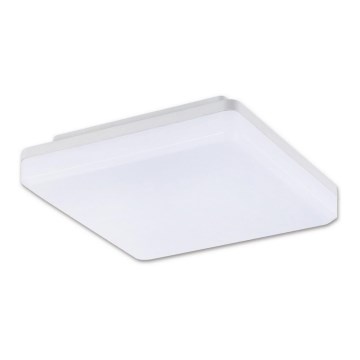 Top Light Leon H - Plafonnier LED extérieur LED/15W/230V IP44