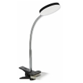 Top Light Lucy KL C - Lampe LED à pince LUCY LED/5W/230V