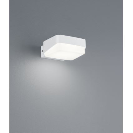 Trio - Applique murale LED extérieure JUBA LED/10W/230V IP65