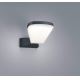 TRIO - Applique murale LED extérieure VOLTURNO LED/5,5W/230V IP54