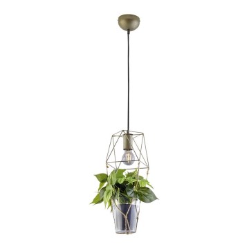 Trio - Hanglamp aan kabel PLANT 1xE27/10W/230V