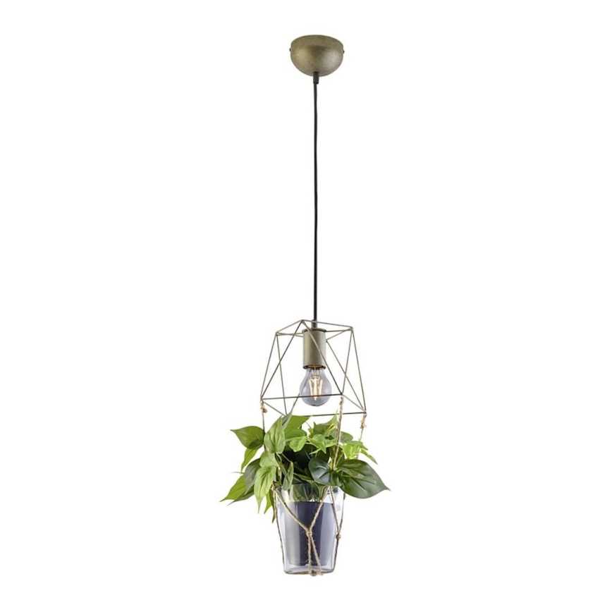 Trio - Hanglamp aan kabel PLANT 1xE27/10W/230V