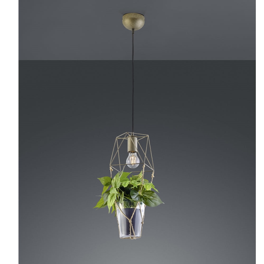 Trio - Hanglamp aan kabel PLANT 1xE27/10W/230V