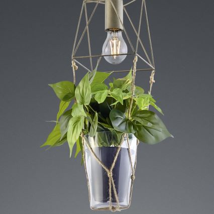 Trio - Hanglamp aan kabel PLANT 1xE27/10W/230V