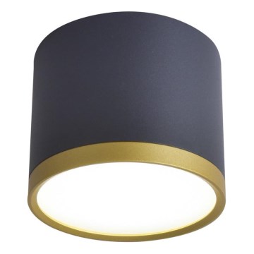 TUBA LED Spot 9W 230V zwart/goud