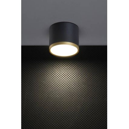 TUBA LED Spot 9W 230V zwart/goud