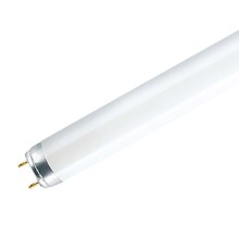 Tube fluorescent G13/36W/230V 6500K 120 cm