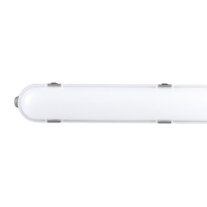 Tube fluorescent industriel avec module d'urgence EMERGENCY LED/36W/230V 6500K 120cm IP65