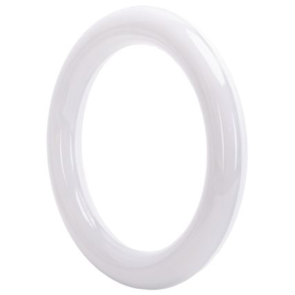 Tube fluorescent LED G10q/14W/230V 6500K - Aigostar
