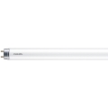 Tube fluorescent LED Philips MASTER T8 G13/6W/110V 4000K 45 cm
