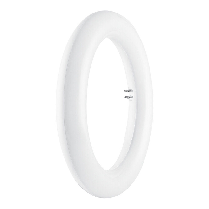 Tube fluorescent LED SUBSTITUBE T9 G10q/12W/230V 6500K d. 20,5 cm - Osram