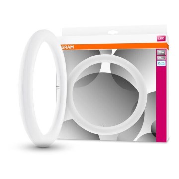 Tube fluorescent LED SUBSTITUBE T9 G10q/20W/230V 6500K d. 29,8 cm - Osram
