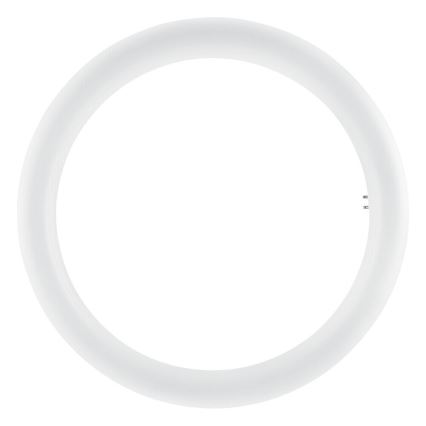 Tube fluorescent LED SUBSTITUBE T9 G10q/20W/230V 6500K d. 29,8 cm - Osram
