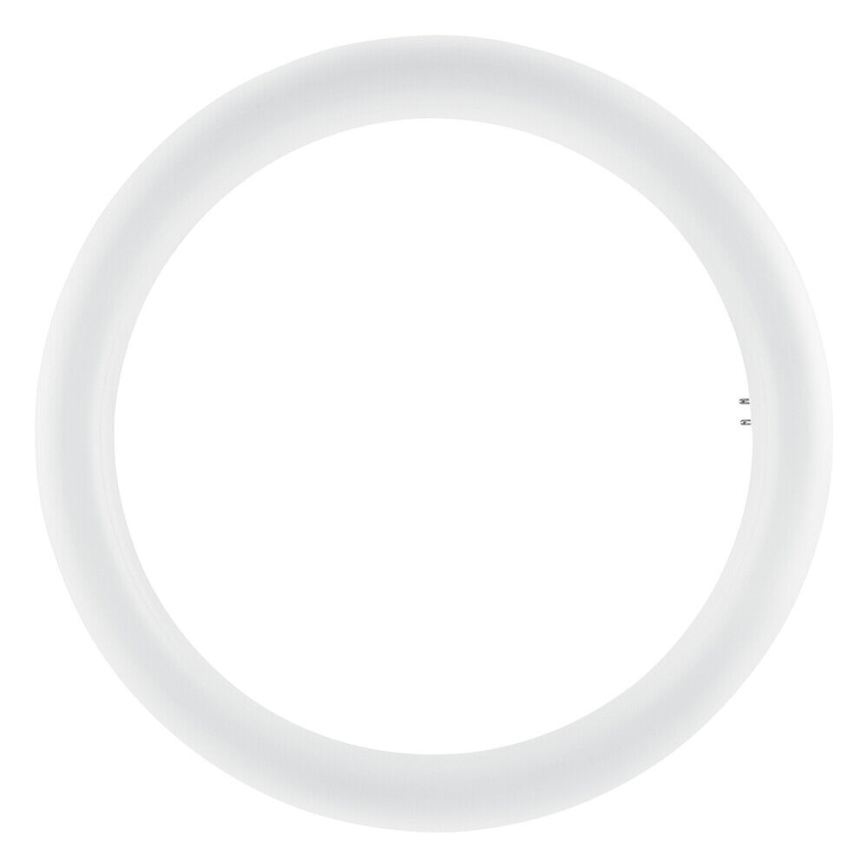 Tube fluorescent LED SUBSTITUBE T9 G10q/20W/230V 6500K d. 29,8 cm - Osram