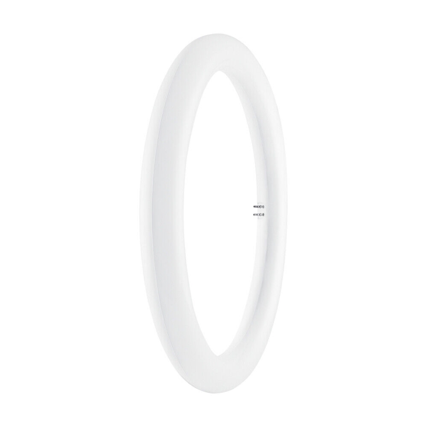 Tube fluorescent LED SUBSTITUBE T9 G10q/20W/230V 6500K d. 29,8 cm - Osram