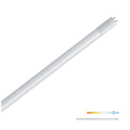 Tube fluorescent LED T8 G13/9W/230V 6500K 60 cm