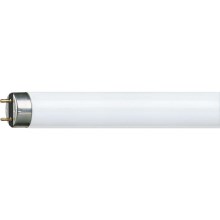 Tube fluorescent Philips G13/58W/230V 151,42 cm