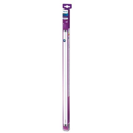 Tube fluorescent Philips LED T8 G13/8W/230V 4000K 60 cm