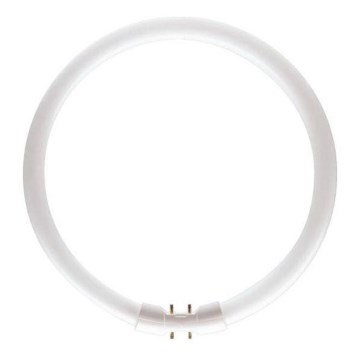 Tube fluorescent Philips MASTER 2GX13/55W/230V 3000K d. 30,5 cm