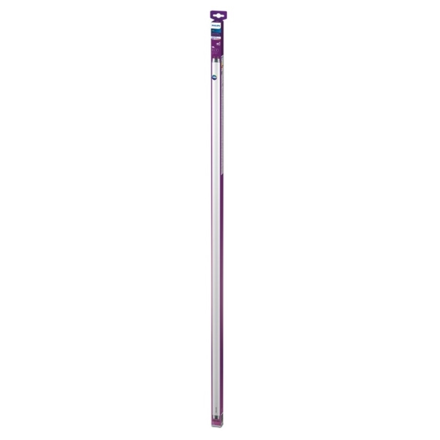 Tube fluorescent Philips T8 G13/16W/230V 4000K 120 cm